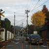 秋旅.京都_仁和寺・竜安寺