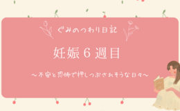 記事を見る