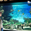 フウナ in リアル　2024・６月　池袋　サンシャイン水族館 ～その５～