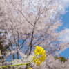 今の時代、人を見極める力が求められている