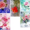 絵画販売・薔薇の花のポストカード5枚組