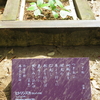 万葉歌碑を訪ねて（その１１５４）―奈良市春日野町　春日大社神苑萬葉植物園（１１４）―万葉集　巻十三　三三一四