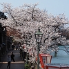 桜咲く、街をあるけば　「主計町」