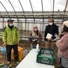 脱サラ農園「秦野いとう農園」見学会