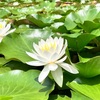 育み合うことが大切なこと