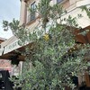 イタリア・イギリスに行ってきた！4日目 ヴェネツィア