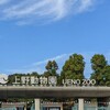 【2022秋】上野動物園正門からの入場について