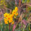 ３月１０日