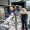 熱中症予防 → 作業着の搬入・搬出、アジサイの鉢上げ