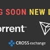 CROSSexchange配当報告‼️