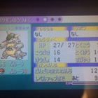 理想めざ氷ボルトロス厳選のお話 Yuのポケモン雑記