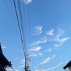 波形