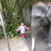 二人旅−上野動物園