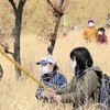 親子連れ、叫び声上げウサギ追い　産山村