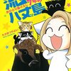 たかまつやよい先生『流されて八丈島　おひとり島ぐらし７年め』ぶんか社 感想。