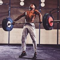 ダンベル ハングパワースナッチの利点 左右交互 片腕ずつの動作を行うことは肩関節の安定が向上 多くの競技と類似し パワーの発揮能力を向上させる Nakajima整骨院official Blog ダンベル ハングパワースナッチの利点 左右交互 片腕ずつの動作を行うことは肩関節の安定が向上 多くの競技と類似し パワーの発揮能力を向上させる Nakajima整骨院official Blog