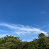 朝散歩　秋の空