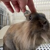 つんつんしてちょっかい