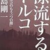 小島剛一『漂流するトルコ』を読む