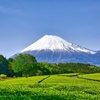 富士山　情熱と静寂　徐（しず）かなること林の如く　動かざること山の如し　武田信玄・風林火山