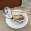 佐賀県太良町の勇栄丸で牡蠣焼き、食べてきました。 