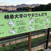 中部国際医療センターでヤギによる除草が活躍中！～11月末まで