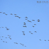 2018-11-04 晩秋のウトナイ湖