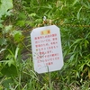 諏訪池（埼玉県日高）