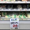 もやし24円