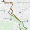 野川公園ランニング、「ほたるの里」で蛍鑑賞。（小金井市東町）