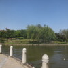 上海汽車博覧公園（続）