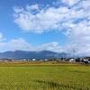 大学芋と大根のびっくり漬け♪