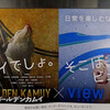 ゴールデンカムイを観る