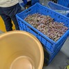Miki wine project 〜手除梗＆搾汁〜