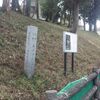 カタクリの森の近く