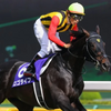 【競馬】2013年皐月賞馬"ロゴタイプ"の魅力と、注目のロゴタイプ産駒紹介
