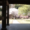 気持ちのいいお寺と神社【春の佐渡ドライブ旅】