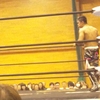 ドラゴンゲートプロレス in 四日市の後半戦