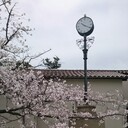 神戸女学院中への架け橋