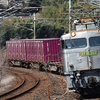 2025/03/08 1063レ EF81 303号機