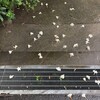 在宅勤務時の記録を提出した