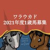 馬名決定！調教順調！ワラウカド出資2歳馬ポウリナズラヴの20近況（2022/03/18）