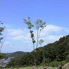 東三河ふるさと公園に行った