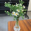 花と月と朝日 