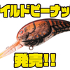 【ダイワ】スーパーワイドアクションのクランクベイト「ワイルドピーナッツ」発売！