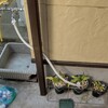 11月11日(金) 水やりホース