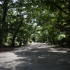 糺の森（＋河合神社）