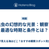夜光虫の幻想的な光景：観察する最適な時期と条件とは？