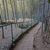 弘法ヶ滝　参拝
