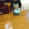 子供たちとお菓子作り&失敗